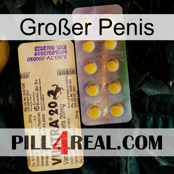 Großer Penis new06.jpg